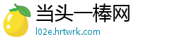 当头一棒网